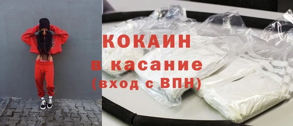 дмт Бердск