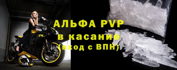 ПСИЛОЦИБИНОВЫЕ ГРИБЫ Артём