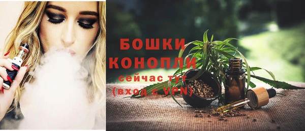 дмт Бердск