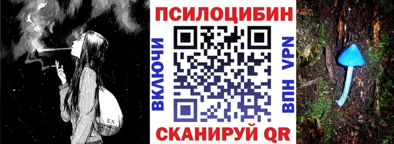 хочу   Жигулёвск  Псилоцибиновые грибы Cubensis 