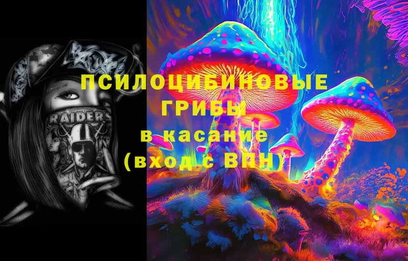 Псилоцибиновые грибы MAGIC MUSHROOMS  blacksprut как зайти  Жигулёвск 